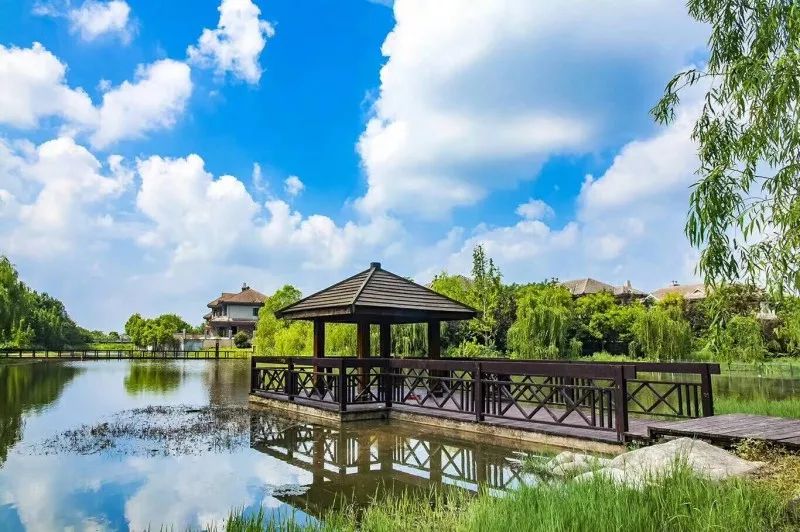 終于瞞不住!臺風過境,一波湖州美景被發現…