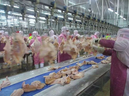 大齡工企業 湖北正大食品 湖州泰普森