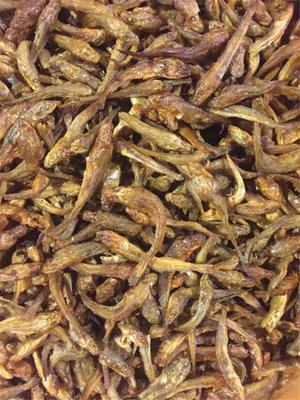 湖州干貨批發 義烏國榮臘味回味無窮 水產品干貨批發