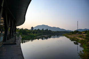 浙江湖州旅游好去處 安吉竹博園,夜游竹林秘境你一定沒體驗(yàn)過