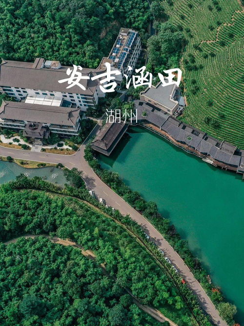 直播預告 今晚8點攜程boss直播,湖州文旅與你有約
